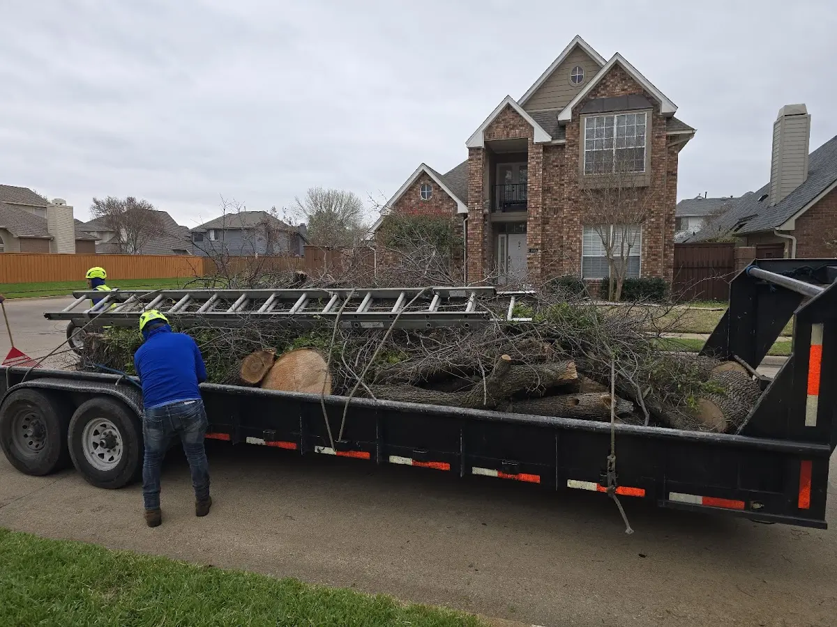 Expert Tree Removal with proper safety equipment in Paxton